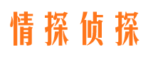 平武市侦探调查公司